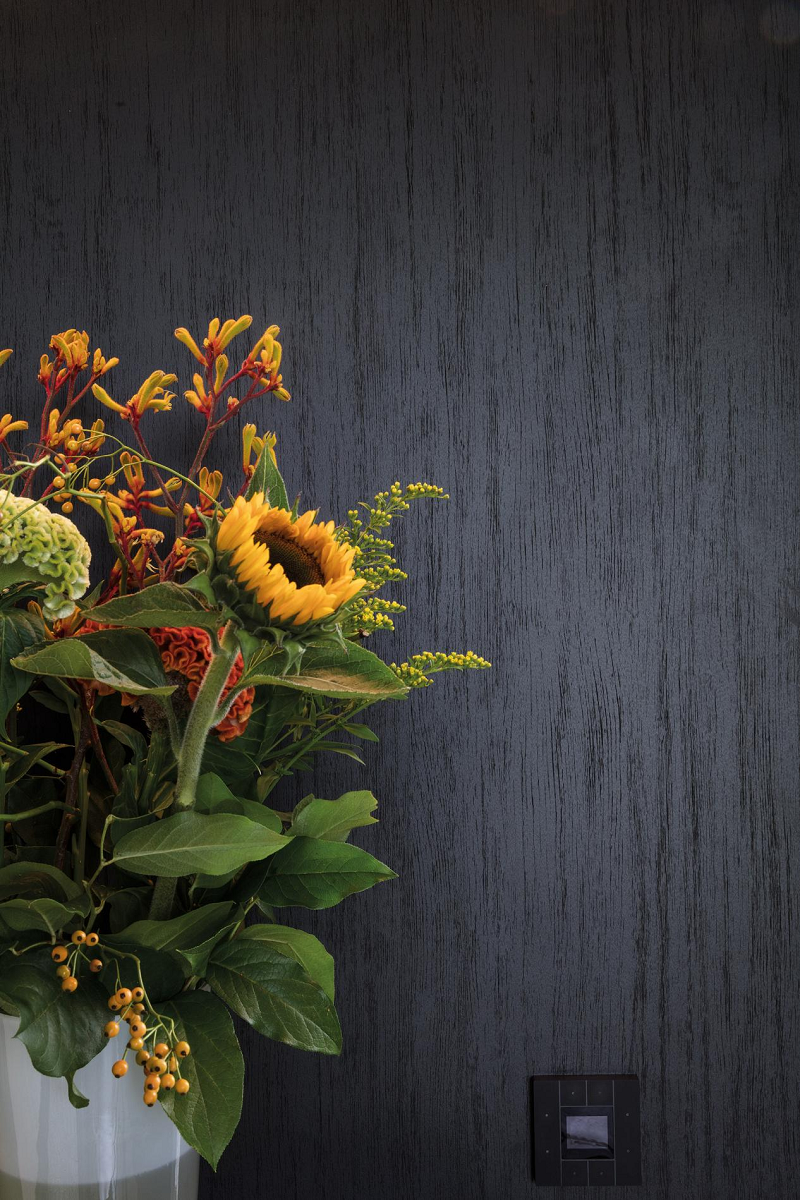 得高強墻聯手,描繪墻面畫卷 圖片2 得高強墻聯手,描繪墻面畫卷 圖片2