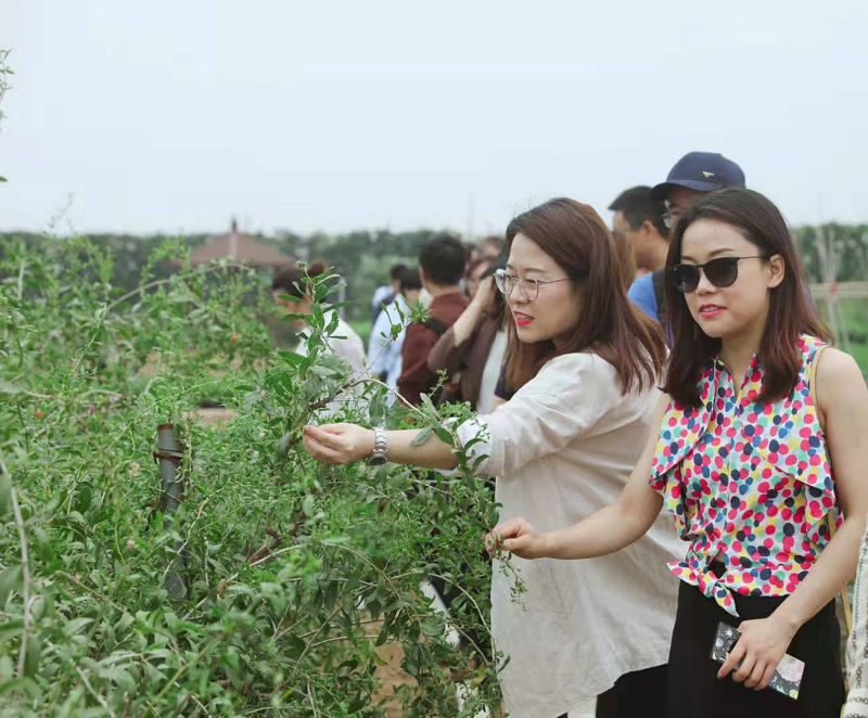 新浪家居“質(zhì)造行”，共證得高品牌力量，推動品質(zhì)持續(xù)升級 圖片2