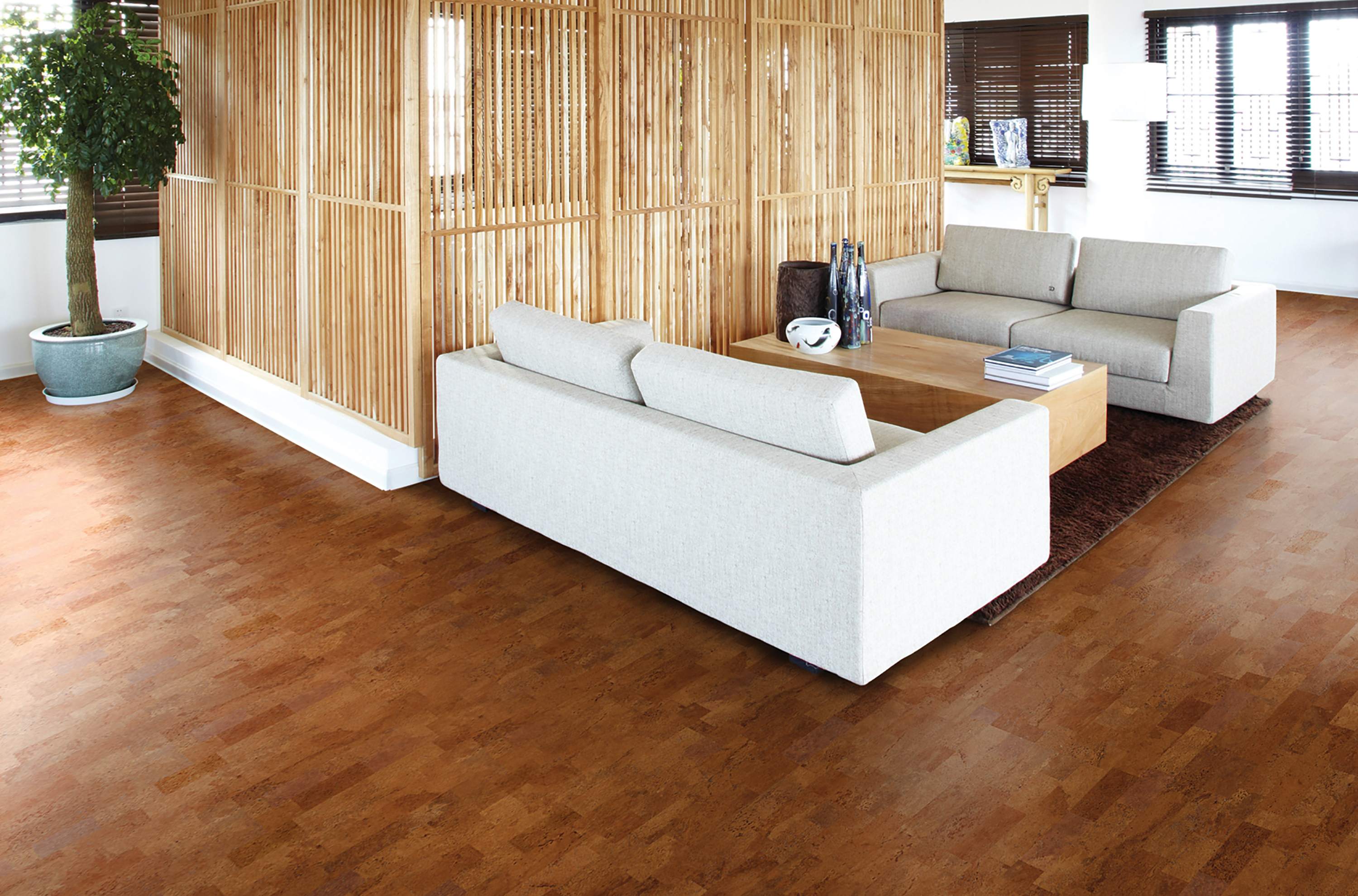 要環(huán)保地板，也要舒適溫馨，更要時尚色彩！ c93g001