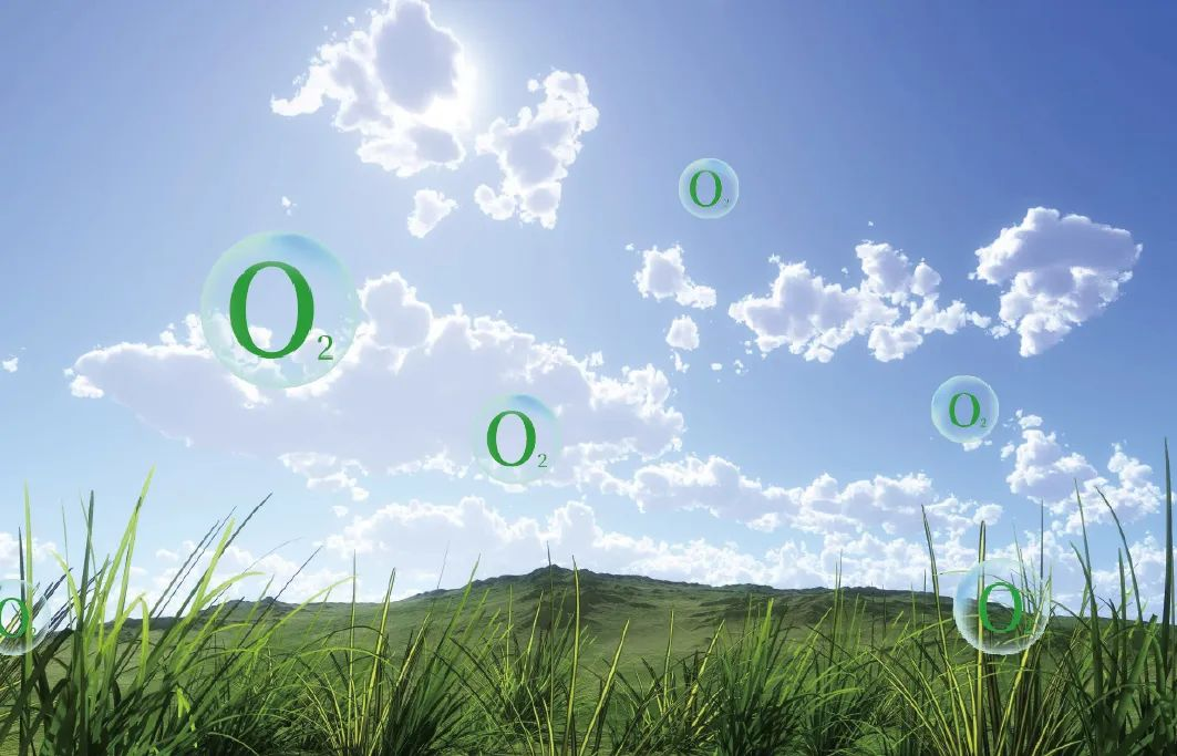 因愛而生，富氧中國|得高以氧創(chuàng)有夢未來 4