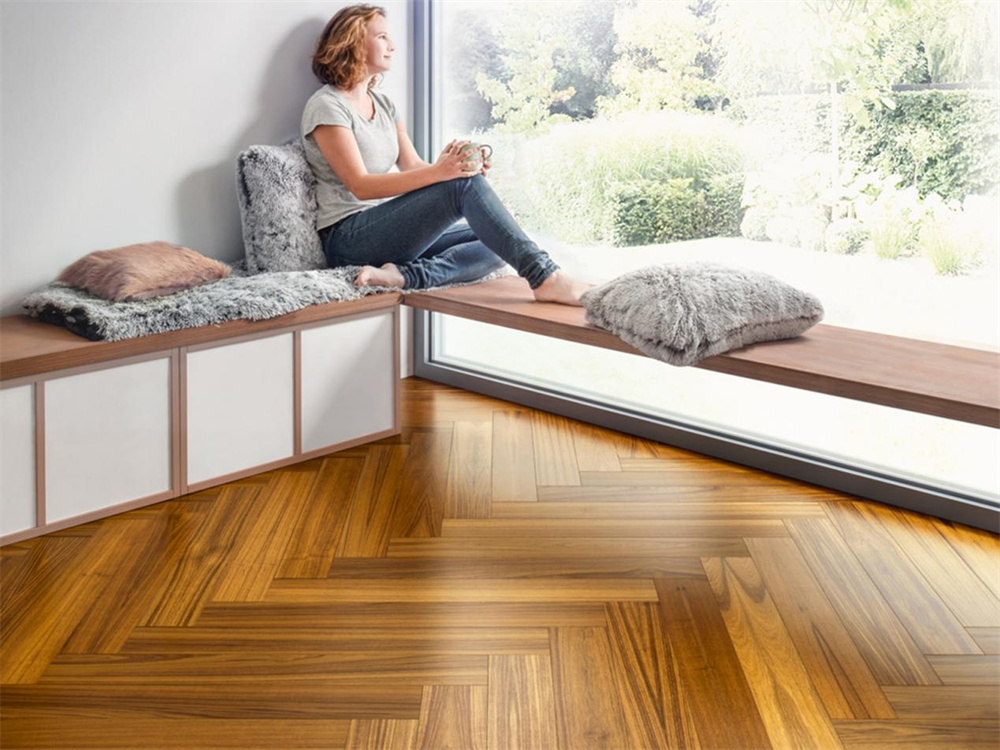 如何不限花期，于家中賞“花”？Come in！ image2