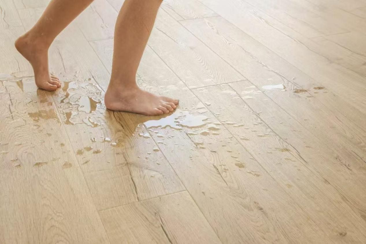 假如媽媽是甲方 圖片4 假如媽媽是甲方 圖片4