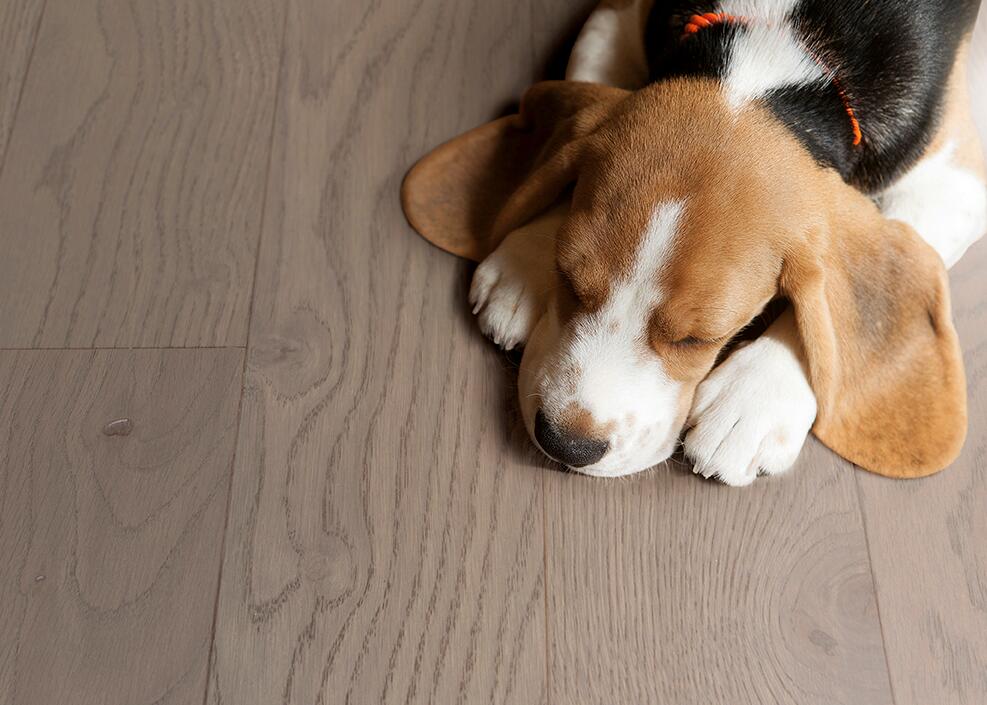  得高實(shí)木復(fù)合地板不只是腳下的鋪陳更是生活的舞臺(tái) 圖片4