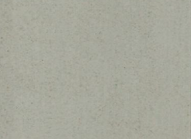 皮質系列,LF009,進口地板