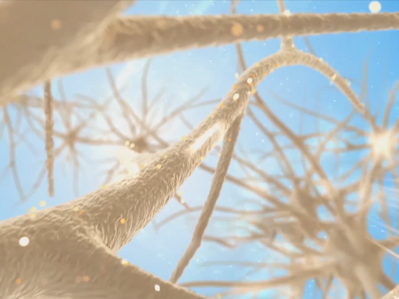 富氧讓你的大腦效率從2G變5G！ image1